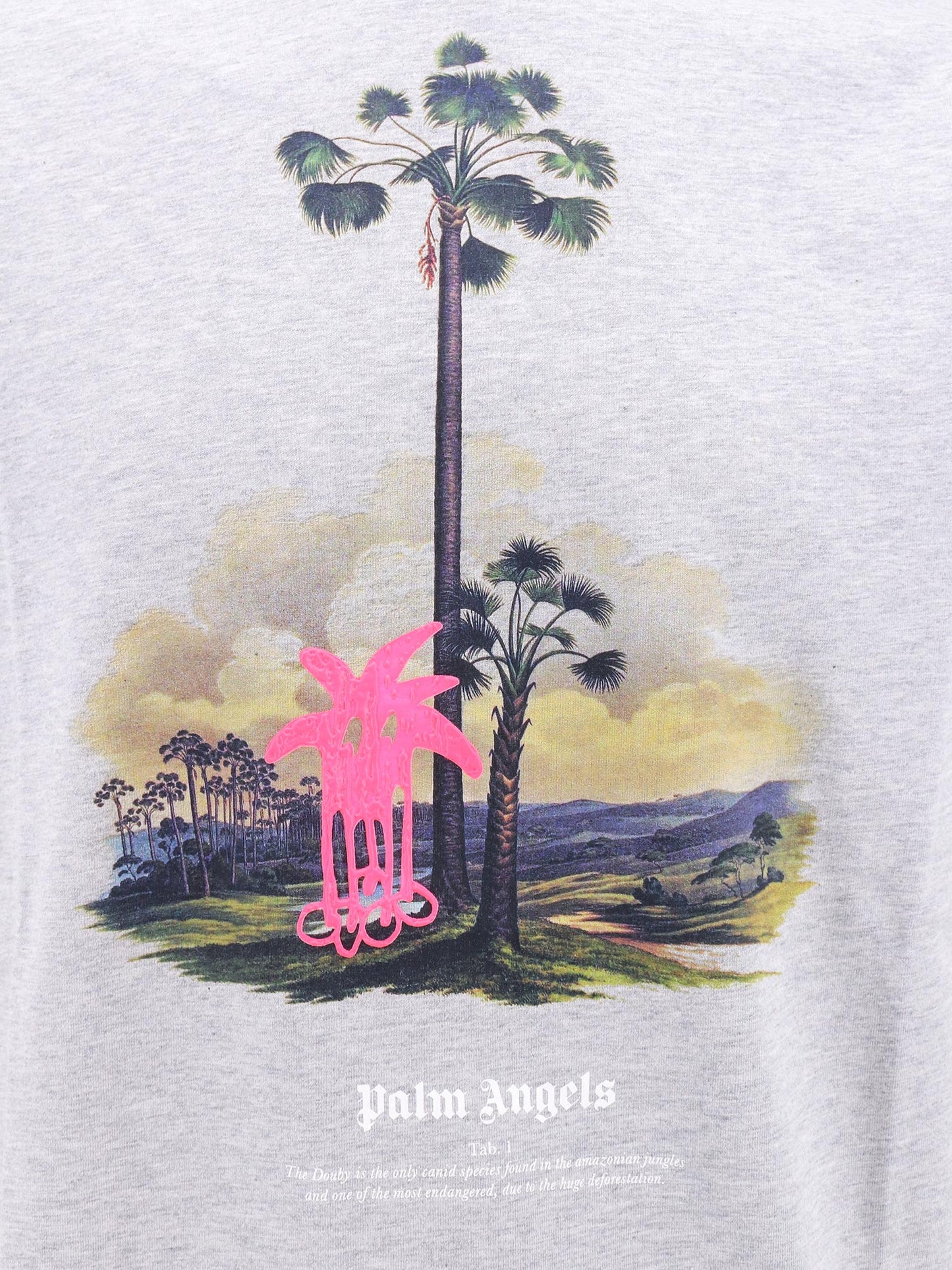 Organic cotton t-shirt with douby lost in amazonia patch