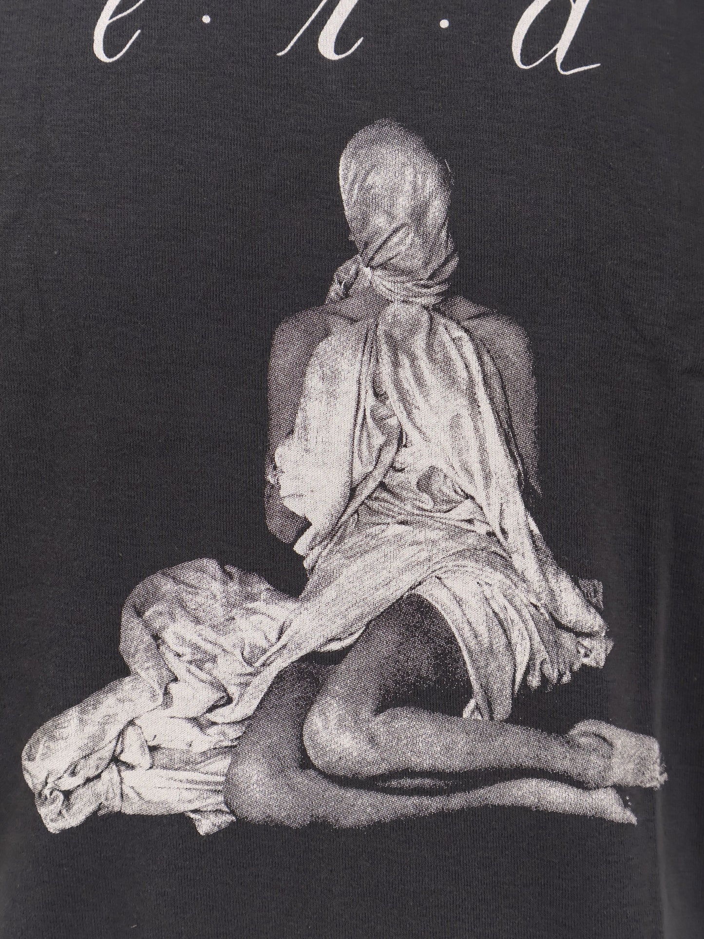 Woman In Sheet Raglan T Shirt