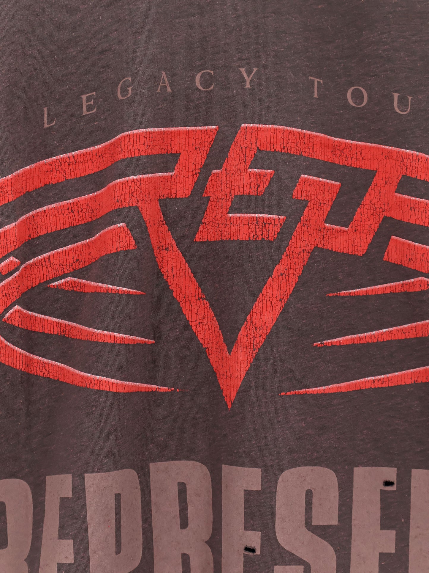 Living Legacy reversible organic cotton and hemp T-shirt