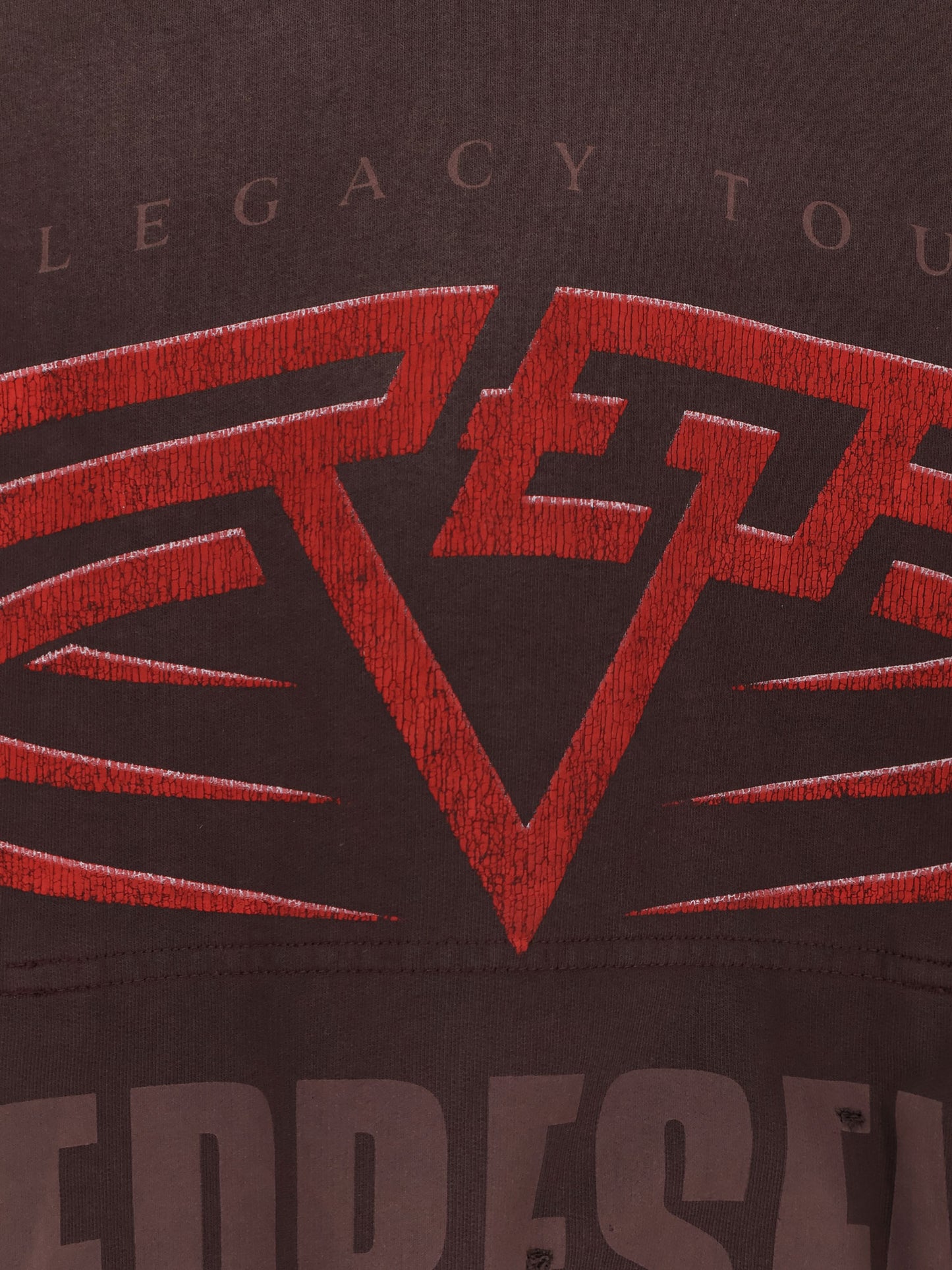 Living Legacy reversible cotton hooded sweatshirt