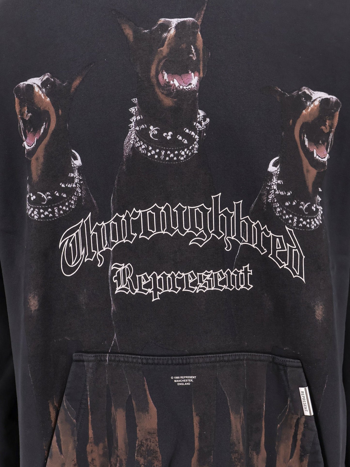 Cotton sweatshirt with Thoroughbred print