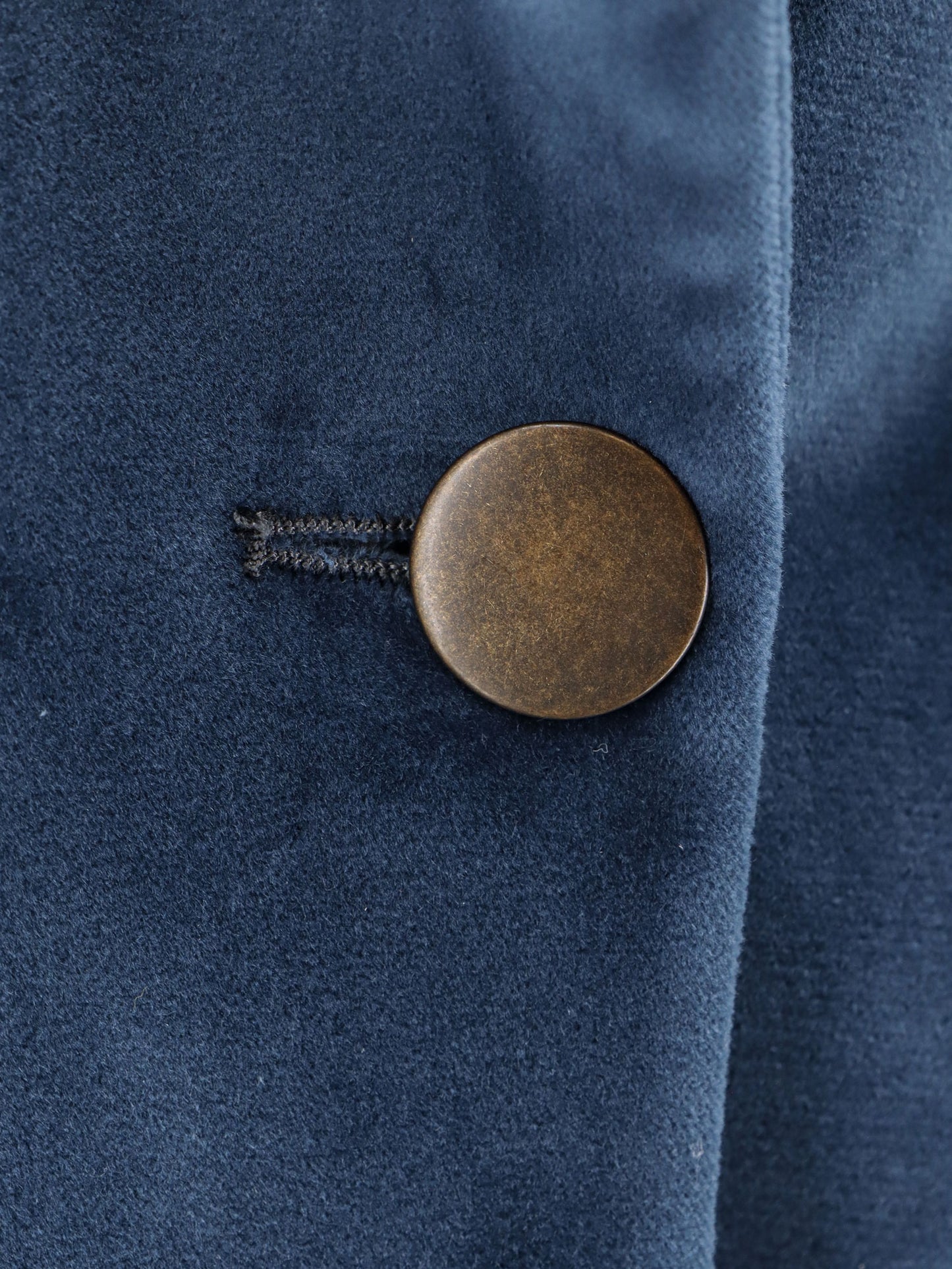 Velvet Antonia blazer