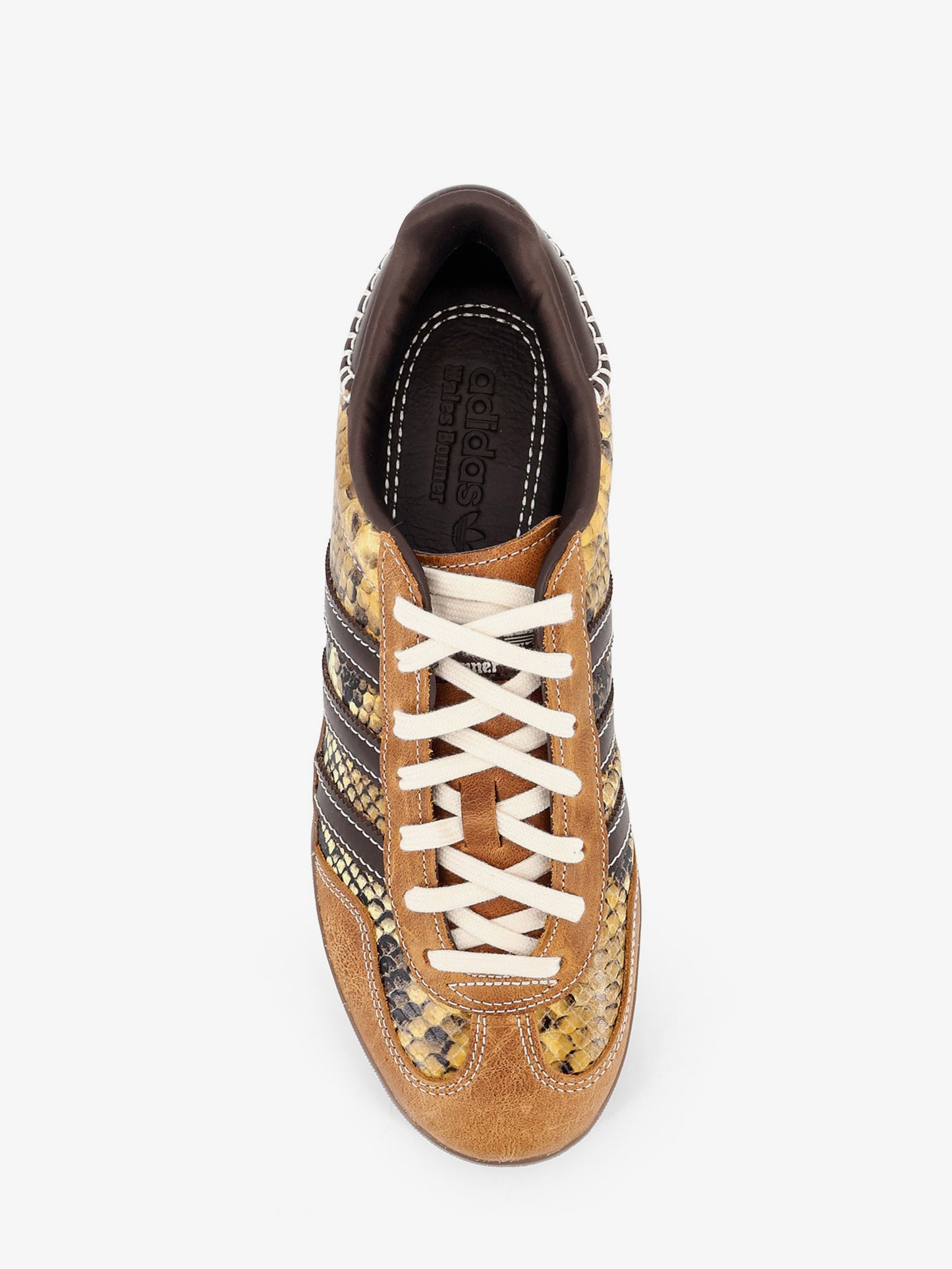 WB Gazelle Snake leather sneakers with python print