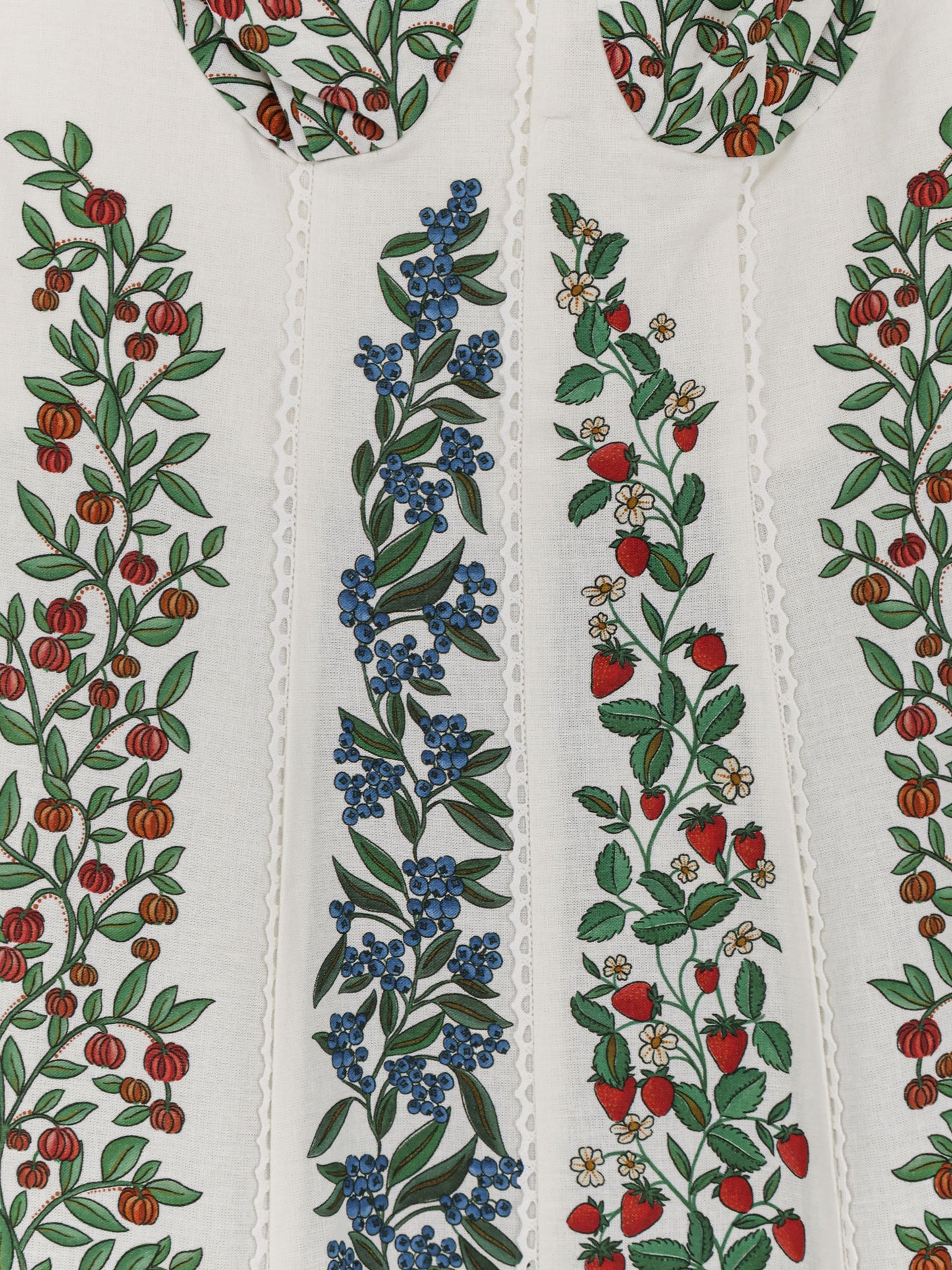 Fruit Beauty multicolor dress