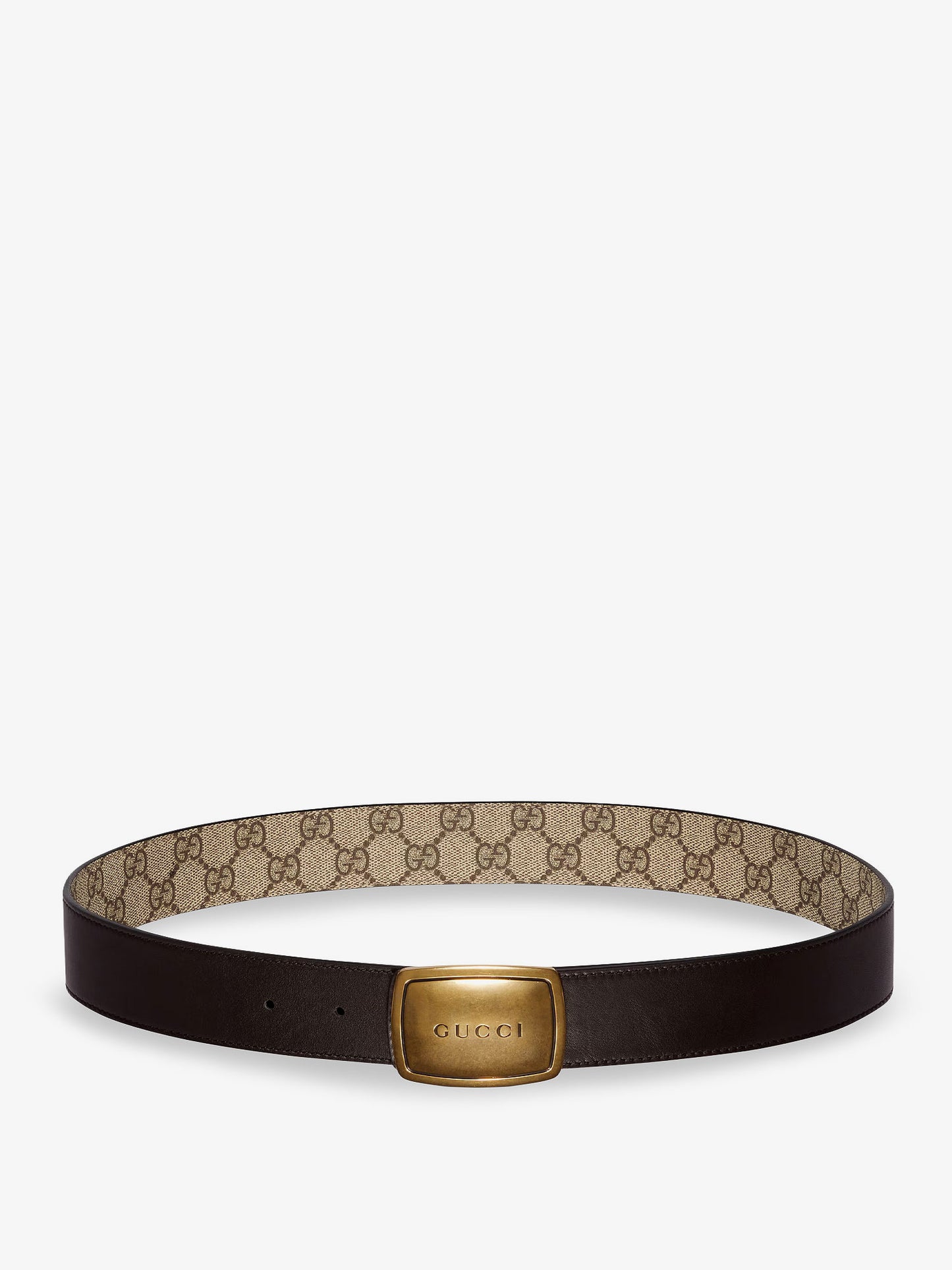 GG coated canvas belt