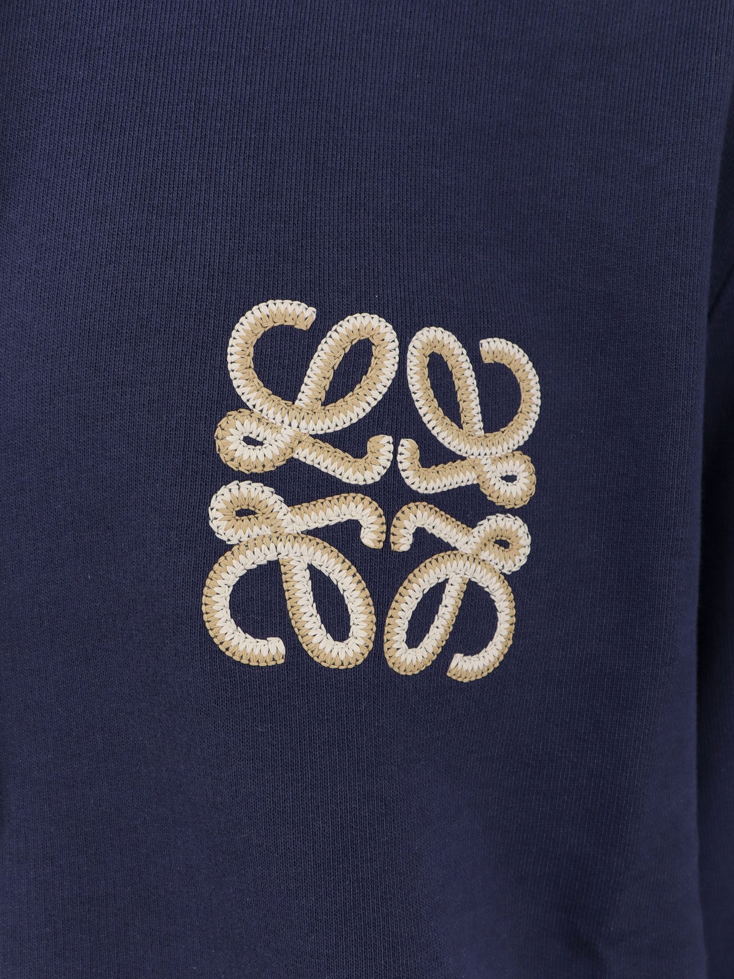 Felpa in cotone con ricamo logo Anagram frontale