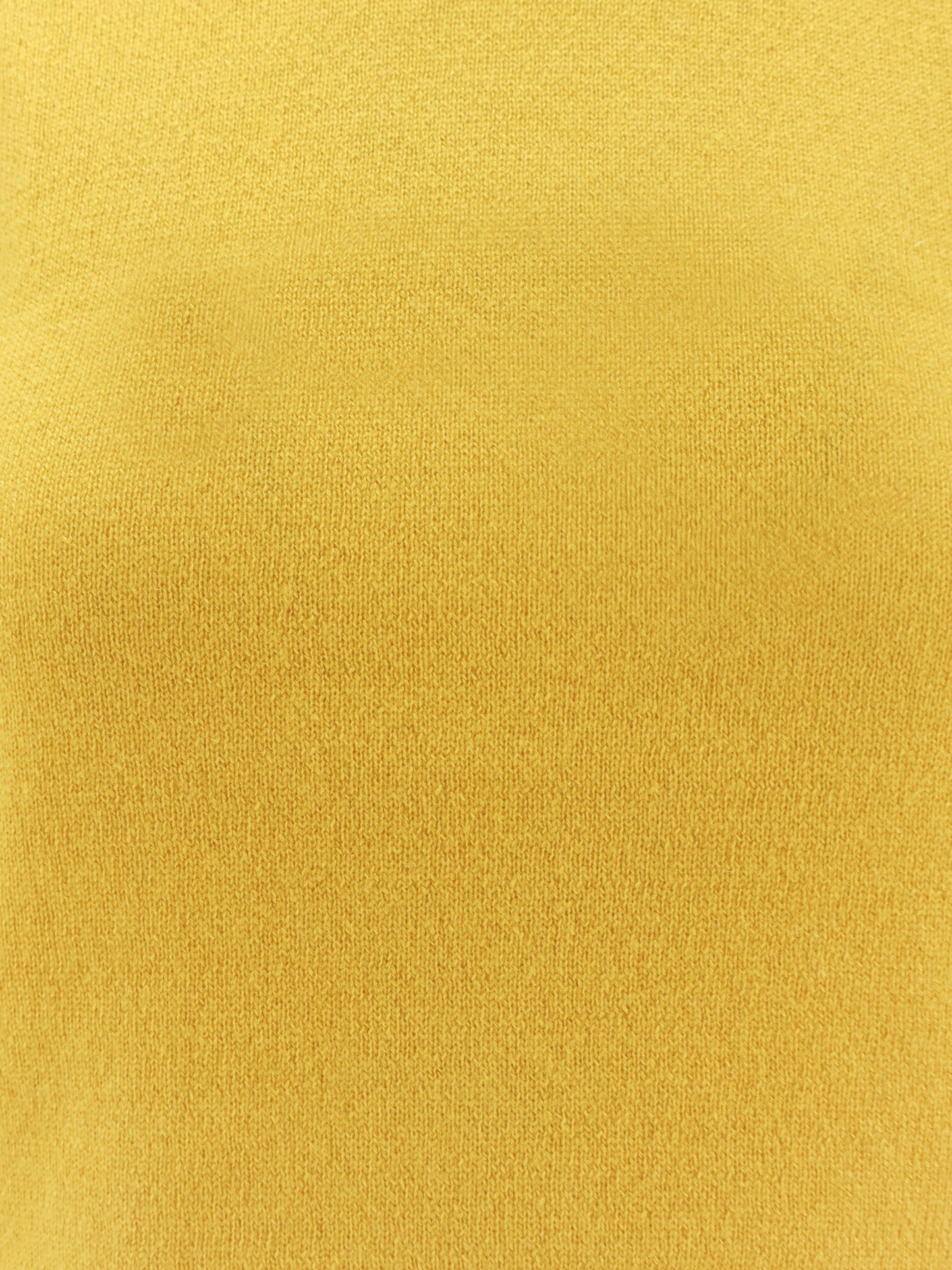 Joy cashmere turtleneck sweater