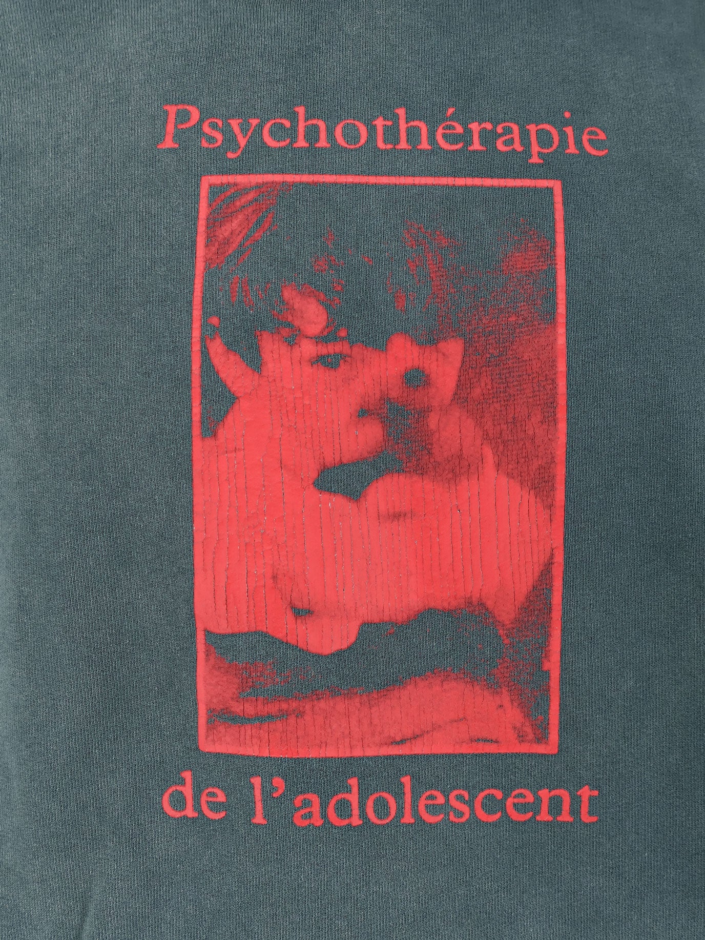 Psychothérapie de L'adolescent Hoodie