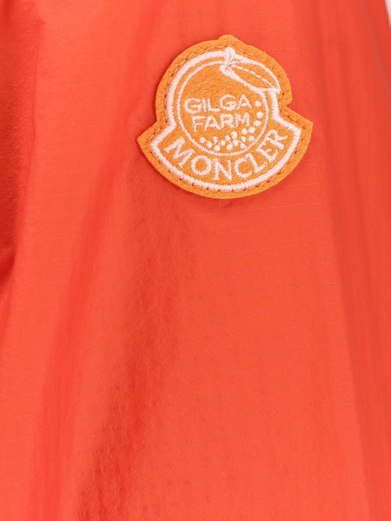 Hamlin Moncler x Gilga Farm designed by Donald Glover nylon jacket