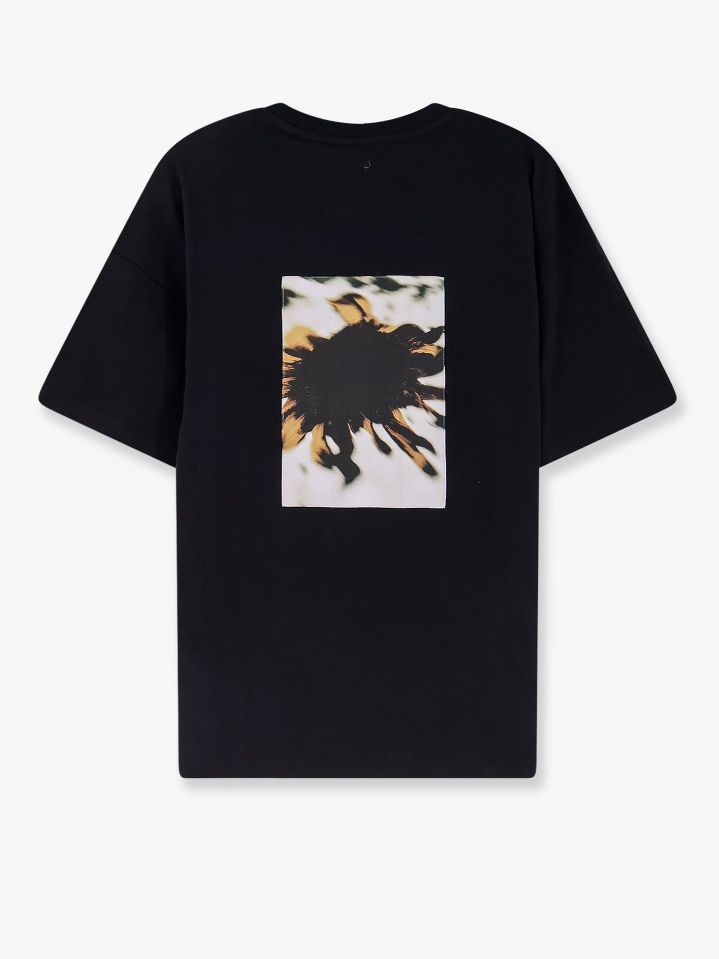 Loose Fit Tshirt Landart 02 Print