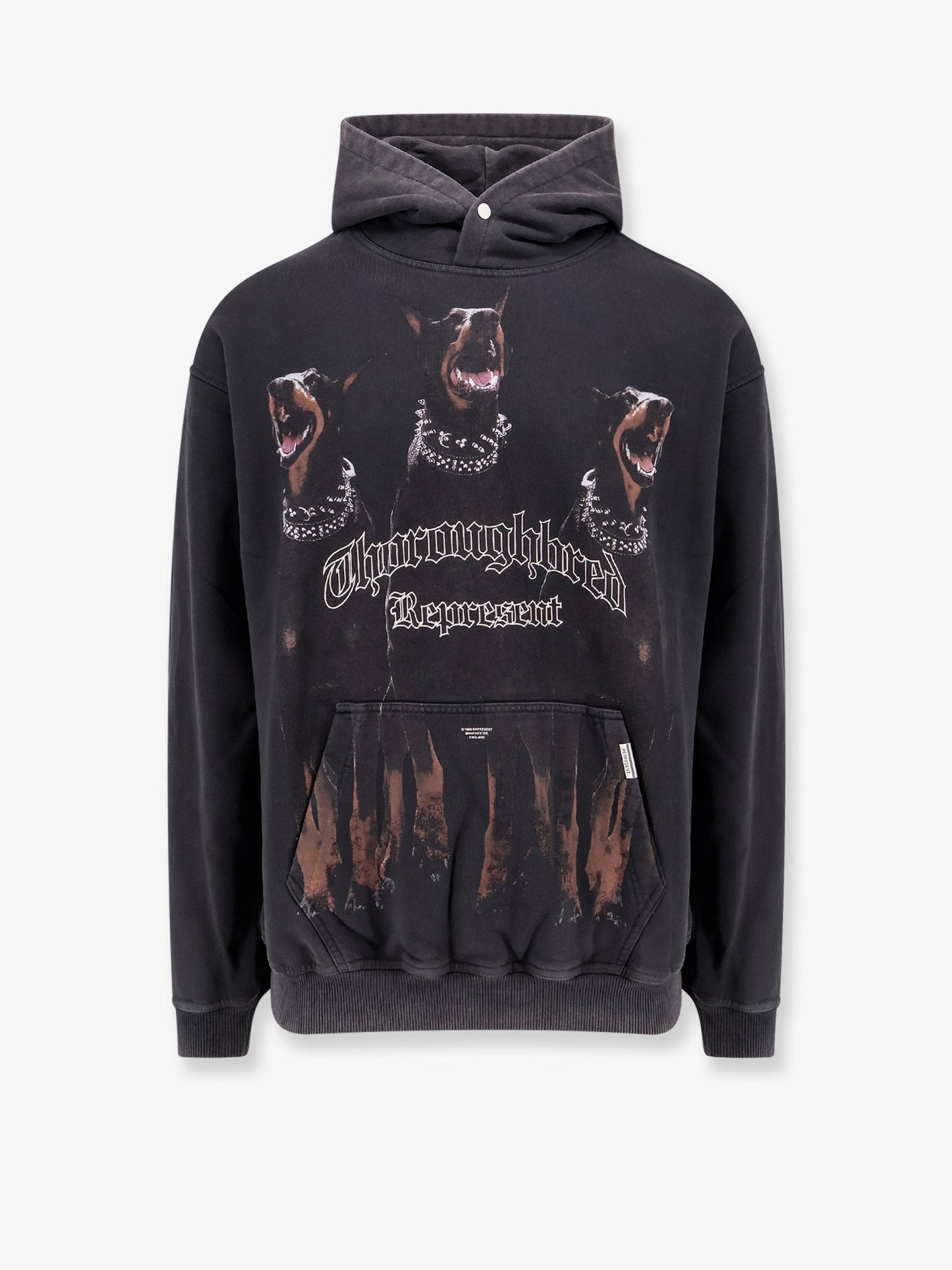 Cotton sweatshirt with Thoroughbred print