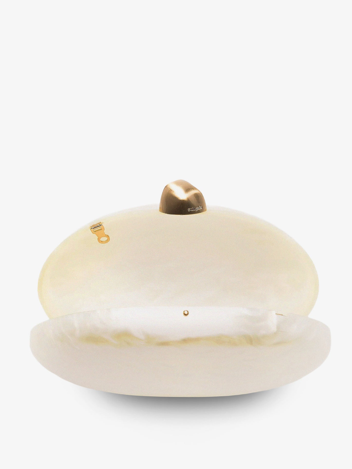 Eviana acrylic clutch bag