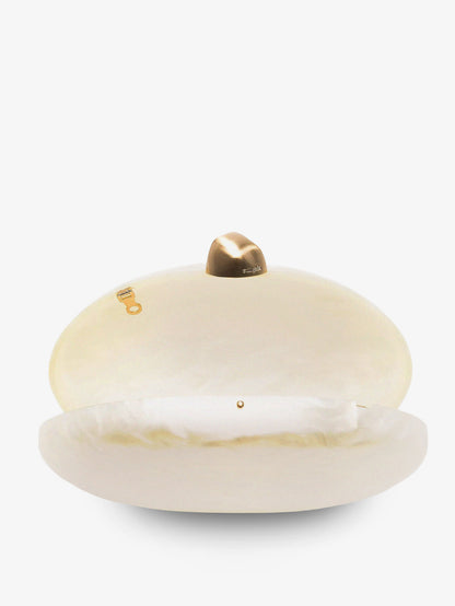 Eviana acrylic clutch bag thumbnail