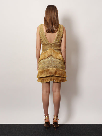 Pampas mini dress with embroidery and fringes thumbnail