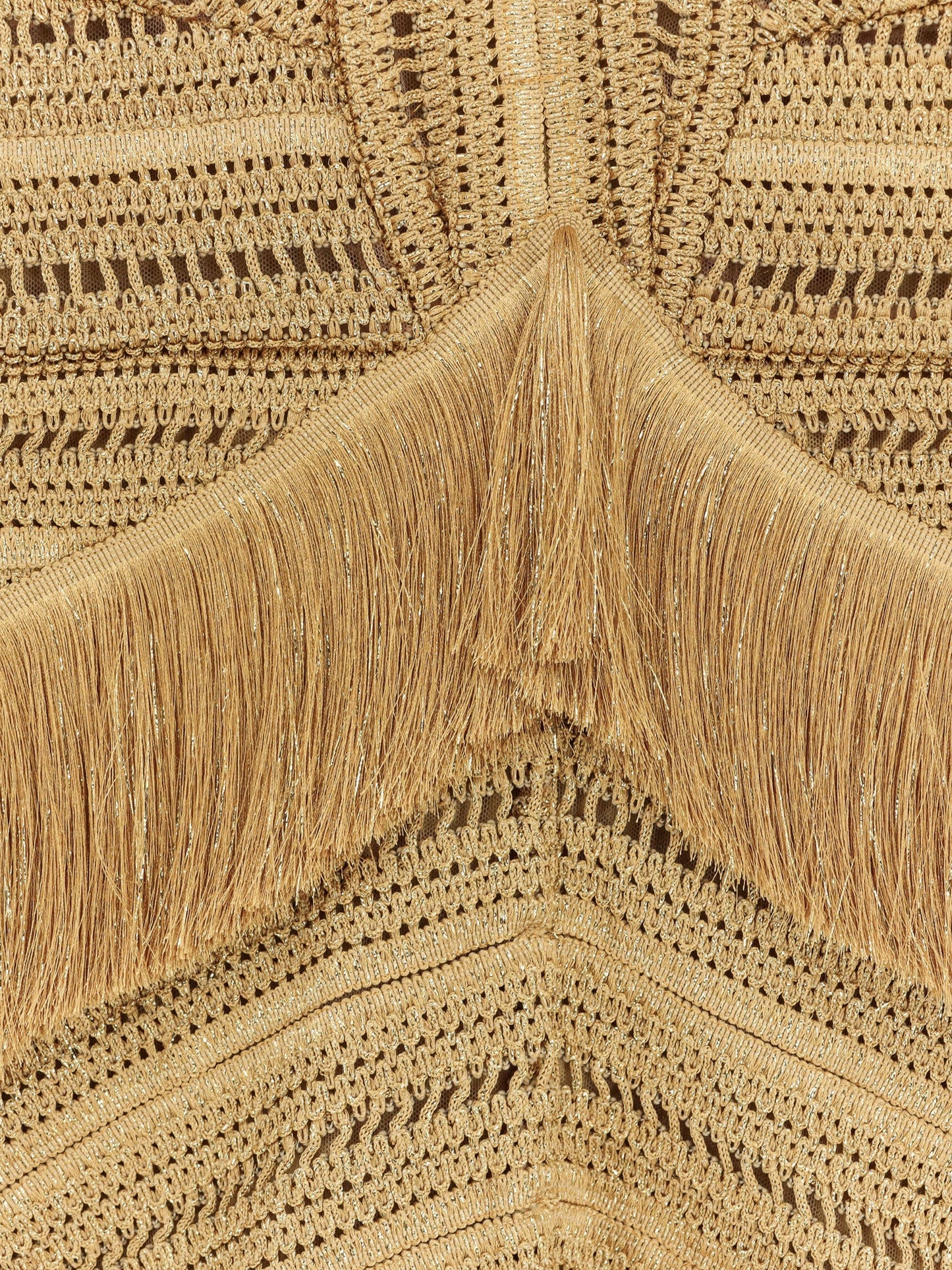 Pampas mini dress with embroidery and fringes