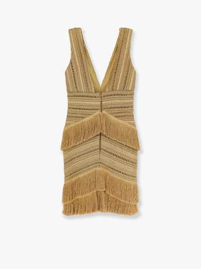 Pampas mini dress with embroidery and fringes thumbnail