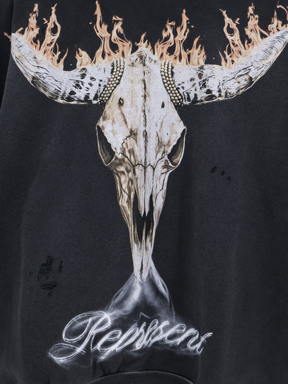 Cotton sweatshirt thumbnail