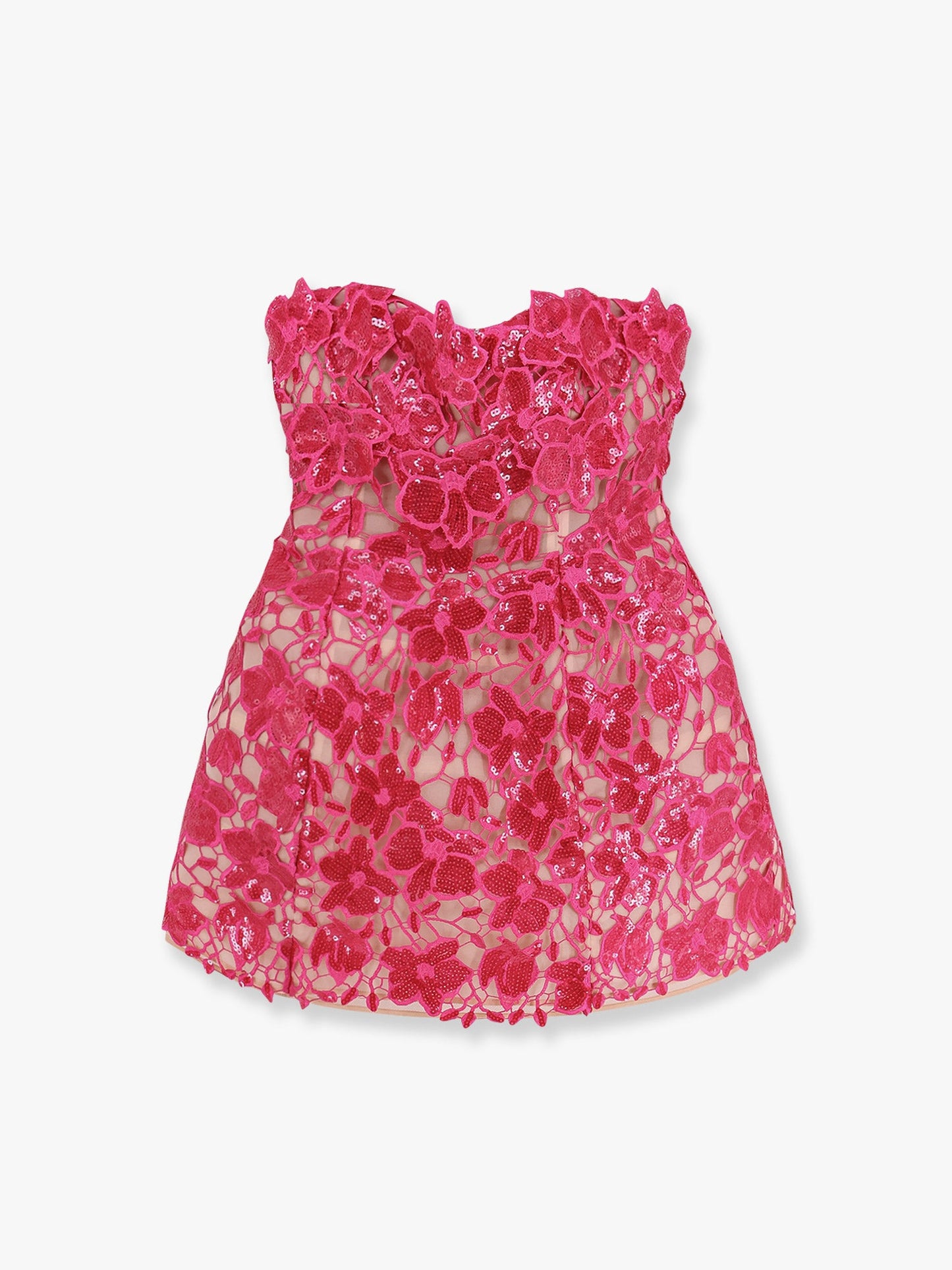 Alira laces and sequins dress