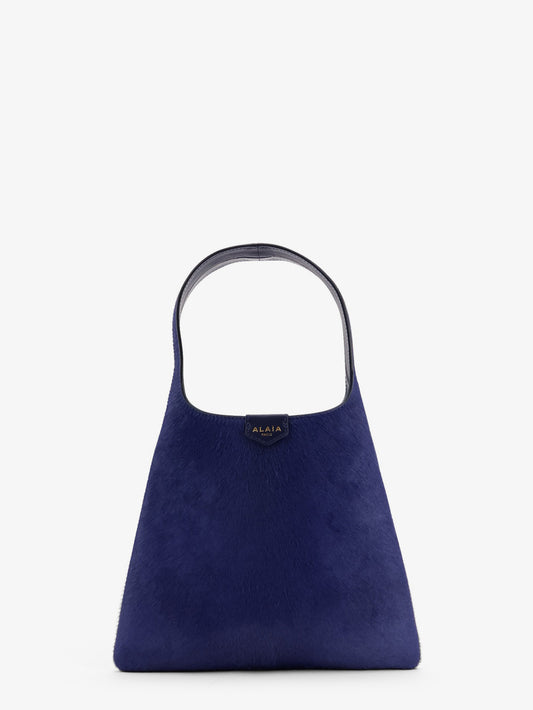 Ponyskin Hobo handbag
