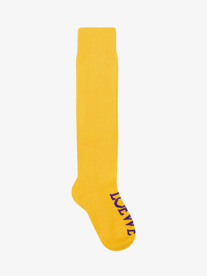 Wool socks thumbnail