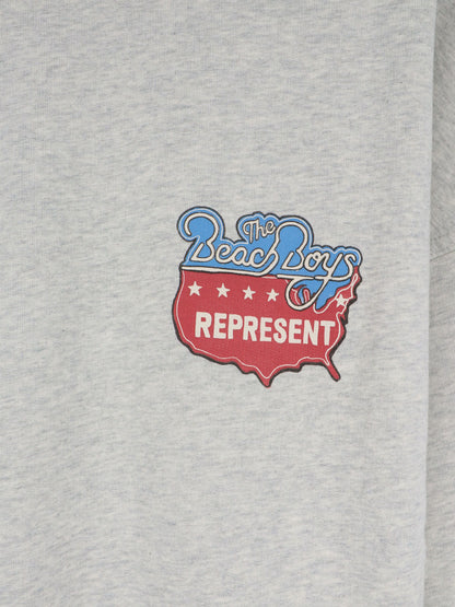 Cotton Beach Boys Americas Band sweater thumbnail