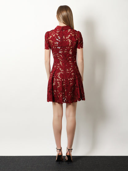 Lace Mini Dress thumbnail